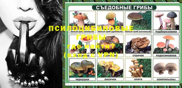 молекула духа Алзамай