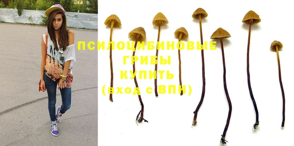 амф Алексеевка