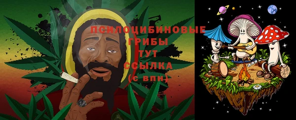 молекула духа Алзамай