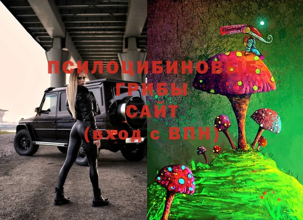 молекула духа Алзамай