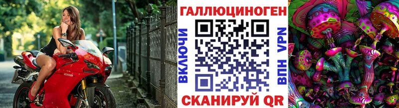 Галлюциногенные грибы Psilocybine cubensis  мориарти телеграм  Бирюч  цены наркотик 