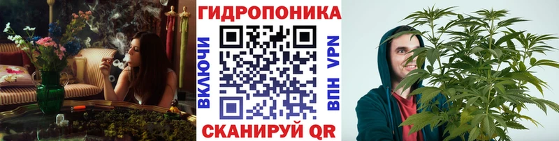 Бошки марихуана THC 21%  Бирюч 